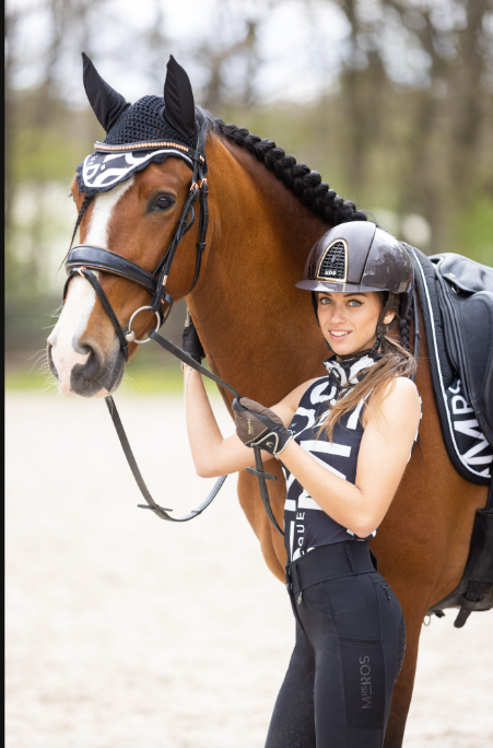 Ros hobby horse sales