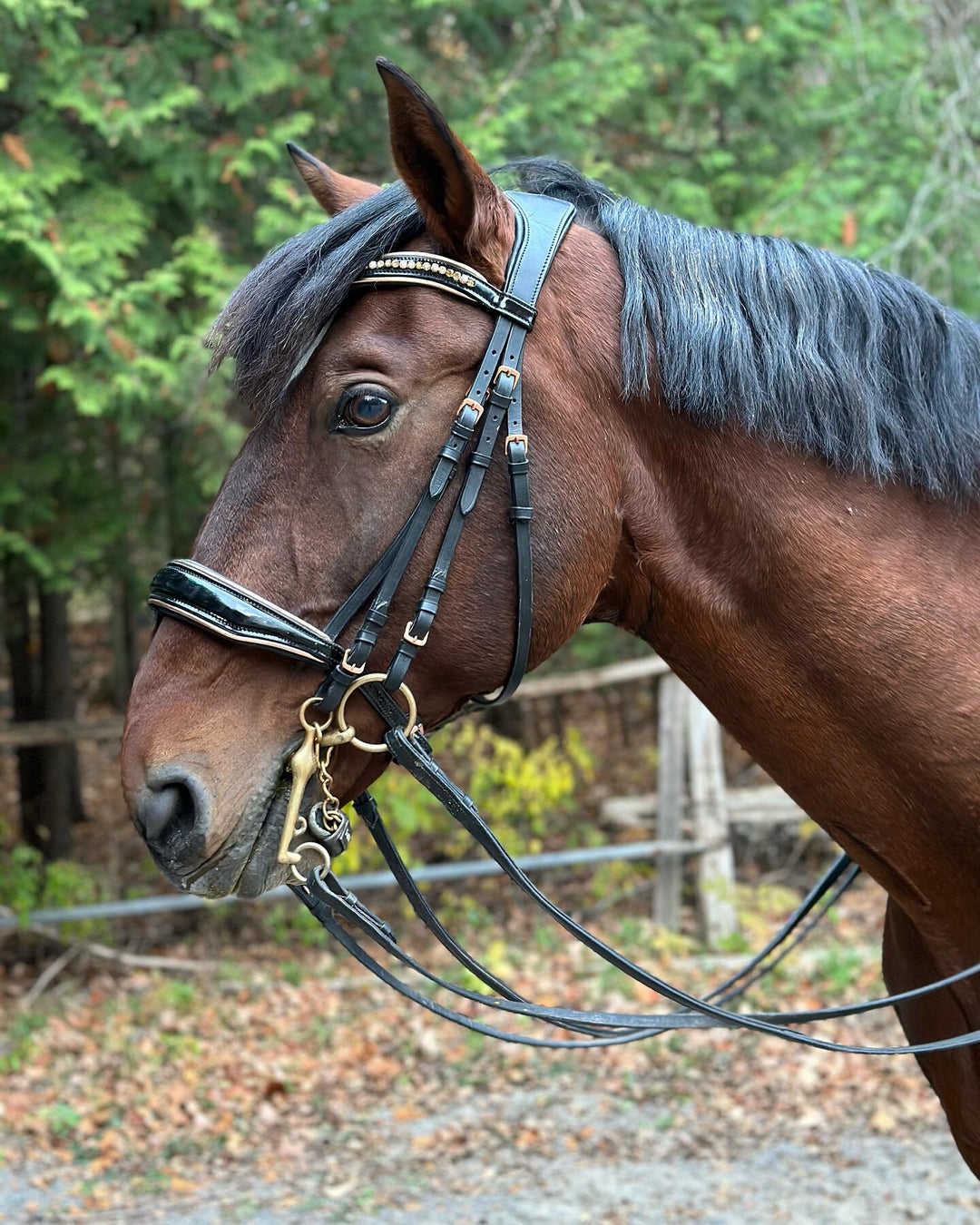 Altair Andromeda Rose Gold Double Bridle