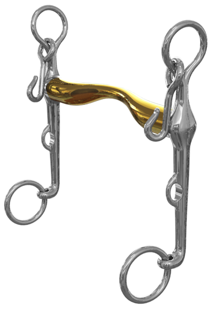 Neue Schule Aachen Weymouth