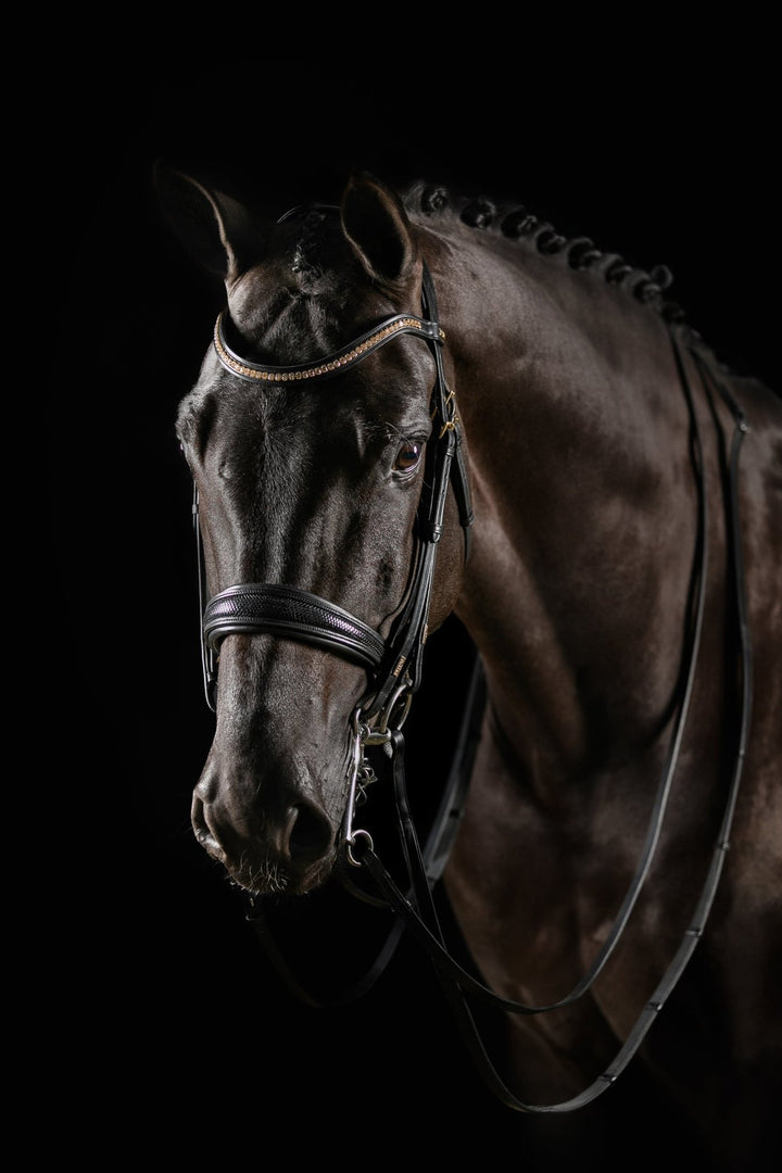Mrs Ros Deluxe Knight Power Double Bridle - Black