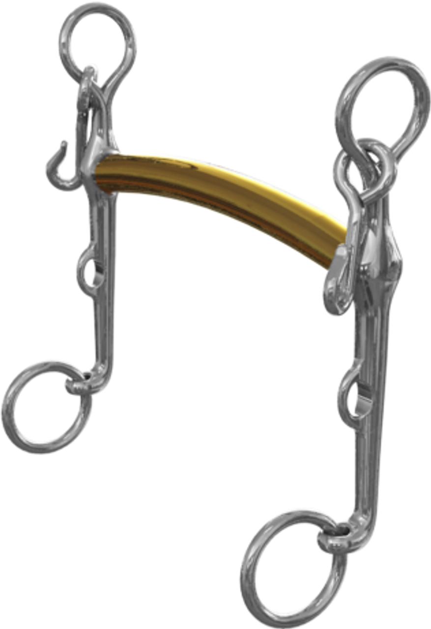 Neue Schule Thoroughbred Weymouth