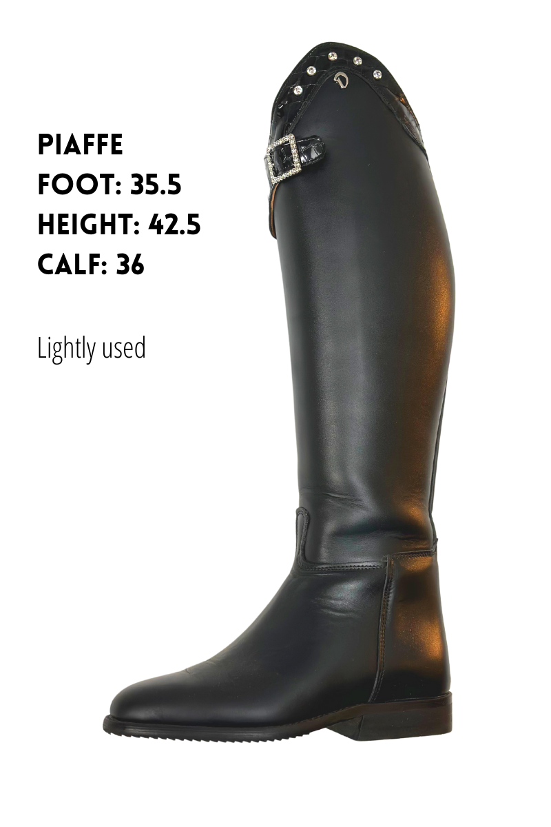 Horse Riding Boots Derby Dressage Boots Caiman Edition Linus