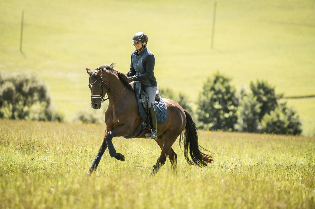Celeris Riding Boots