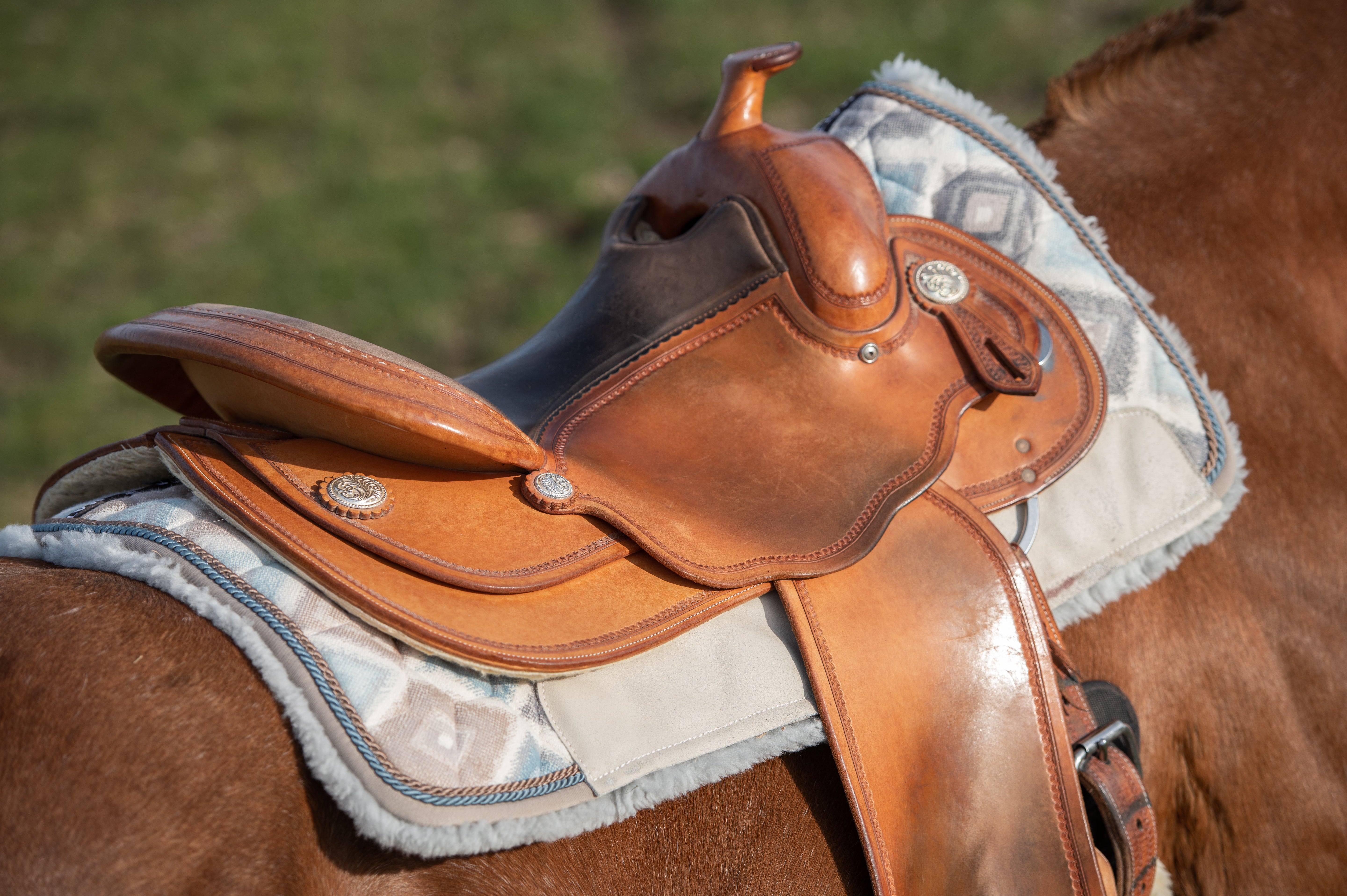 Western Dressage