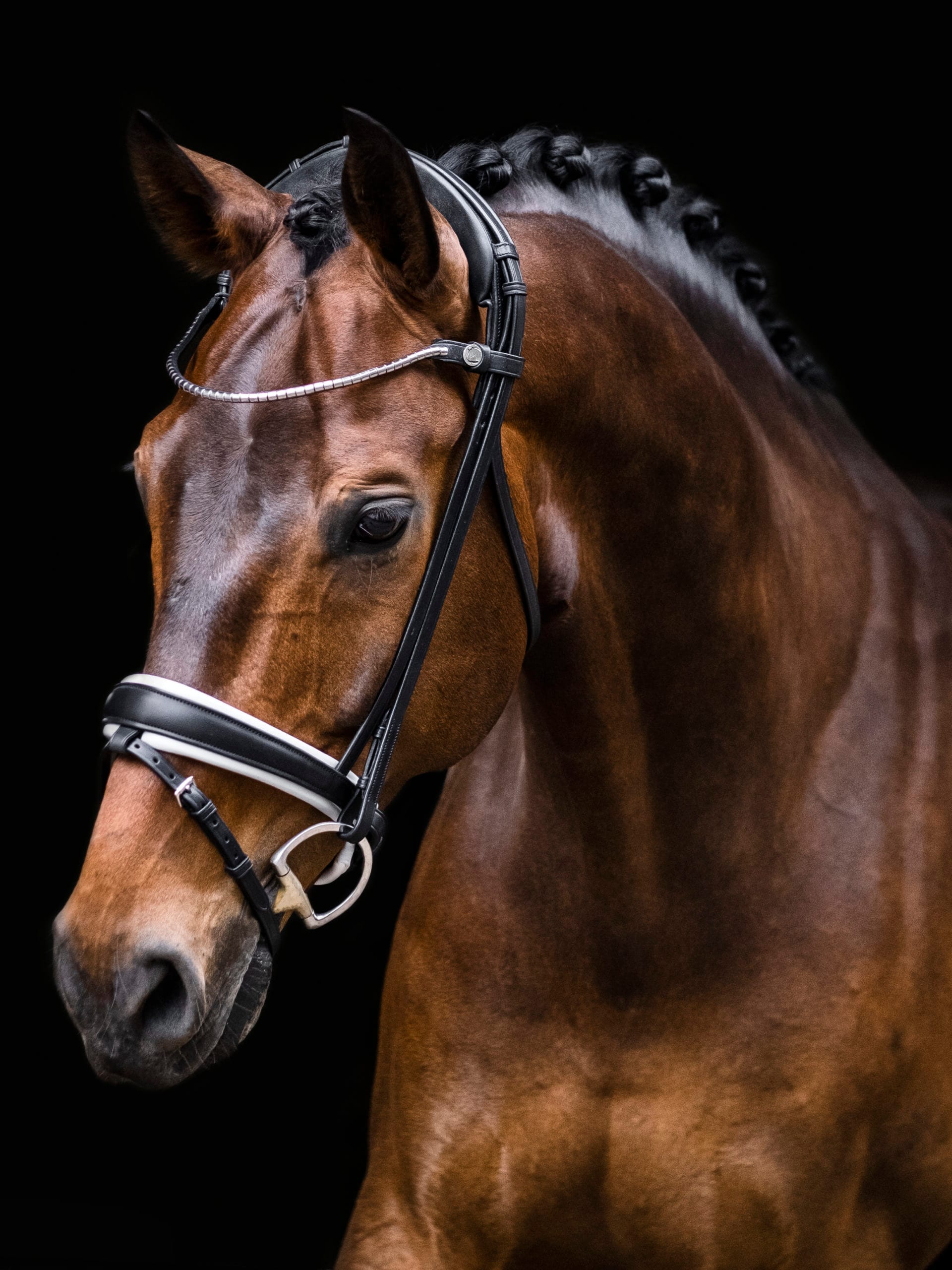 Bridles