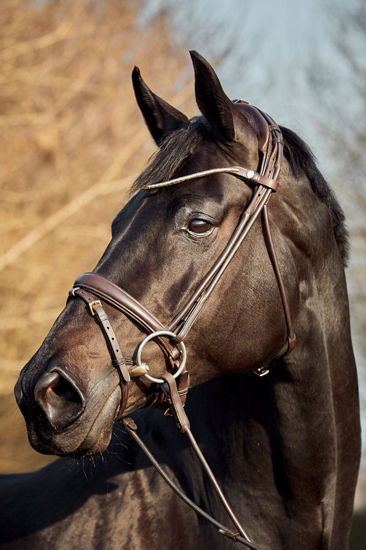 Finesse Himalaya Snaffle Bridle