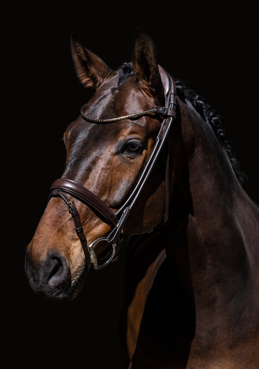 Finesse Himalaya Snaffle Bridle