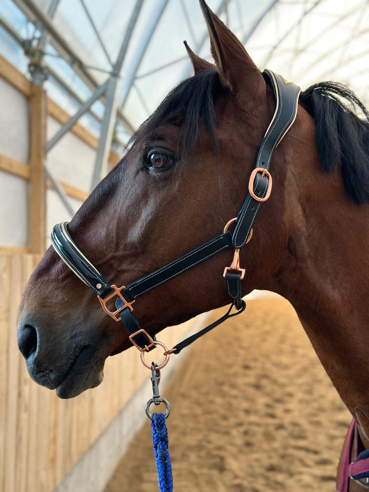 Altair Borealis Rose Gold Anatomic Halter