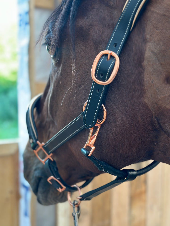 Altair Borealis Rose Gold Anatomic Halter