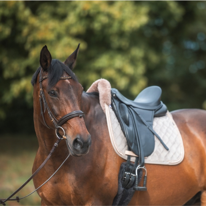 Mattes Square Pad - Satellite Large