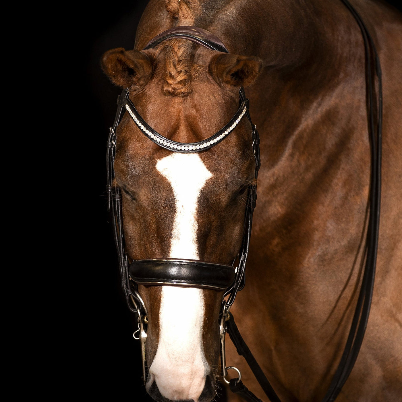 Mrs Ros Galaxy Silver Double Bridle