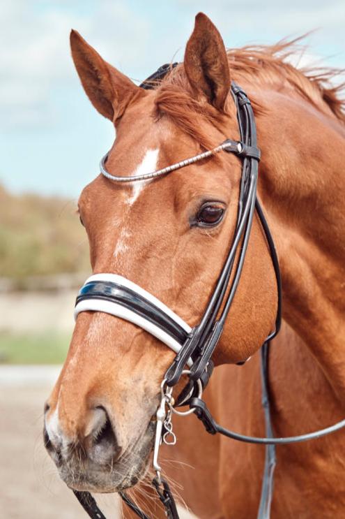 Finesse Cassidy Weymouth Bridle - Rolled Leather