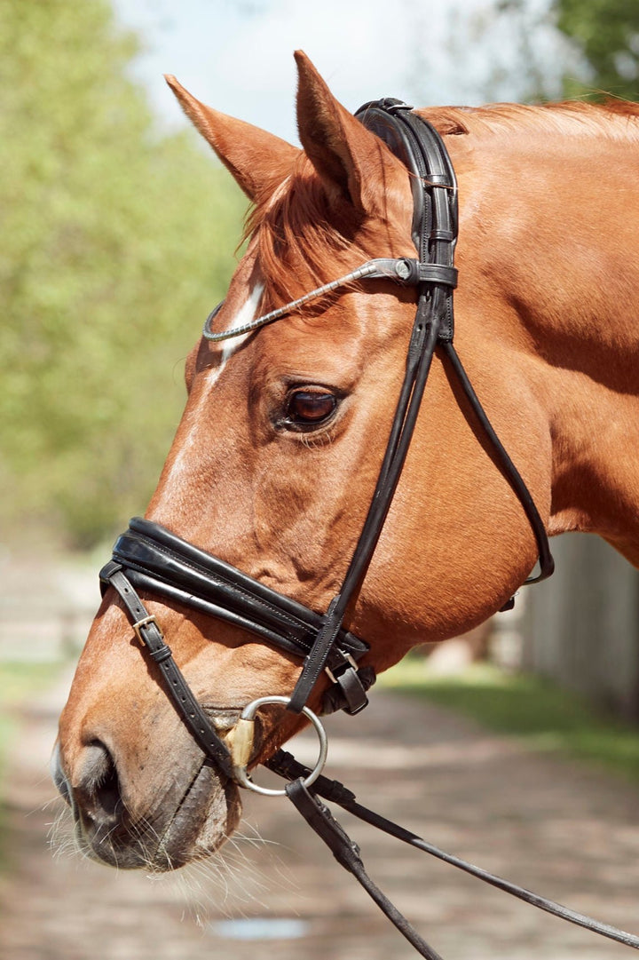 Finesse Cassidy Snaffle Bridle - Rolled Leather