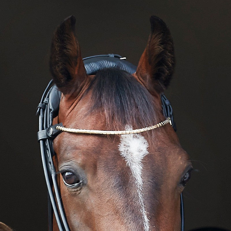 Finesse Clincher Browband