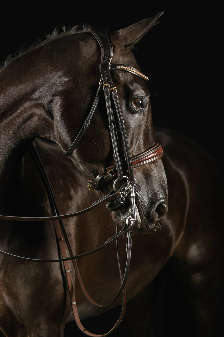 Mrs Ros Deluxe Knight Power Double Bridle - Brown