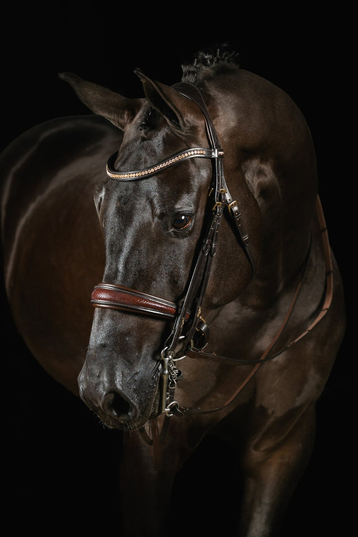 Mrs Ros Deluxe Knight Power Double Bridle - Brown