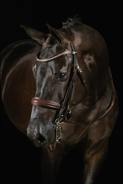 Mrs Ros Deluxe Knight Power Double Bridle - Brown