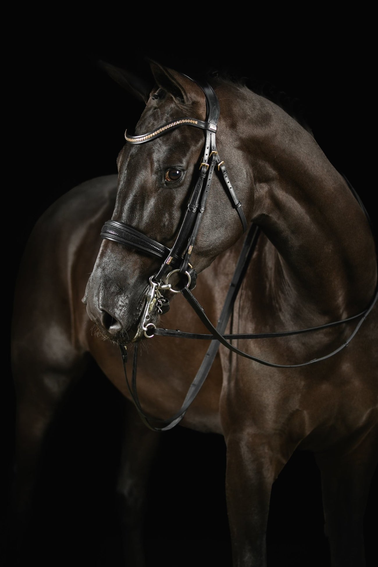 Mrs Ros Deluxe Knight Power Double Bridle - Black