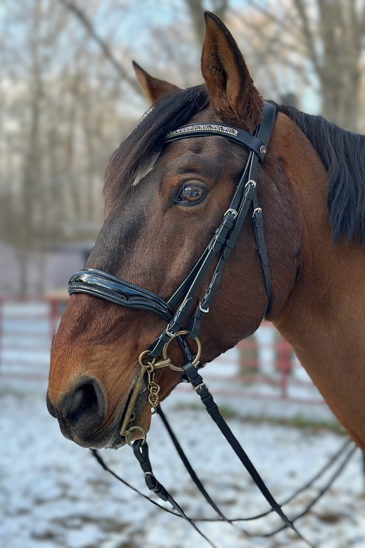 Altair Atlas v2 Double Bridle