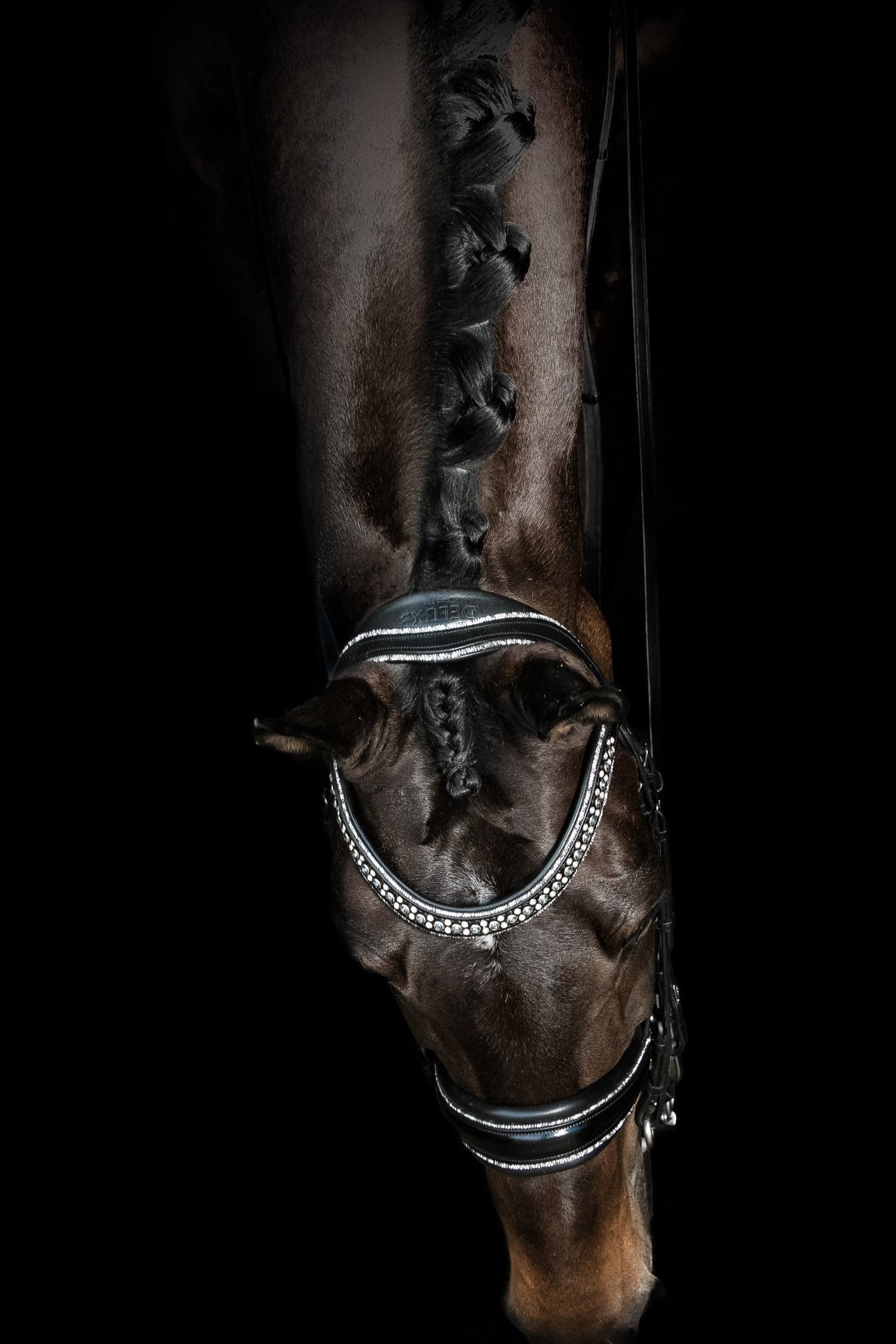 Mrs Ros Johnny Silver Double Bridle