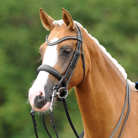 PASSIERBLU Dream Double Bridle