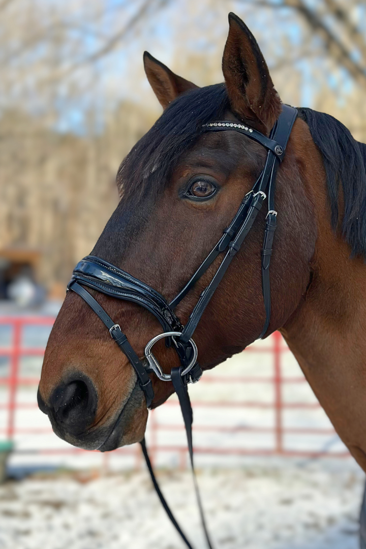 Altair Polaris v2 Snaffle Bridle