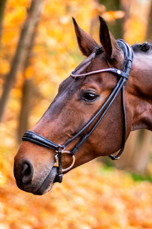 Finesse Spirit Drop Noseband Snaffle
