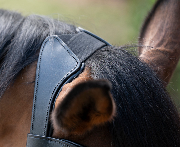 Altair Polaris v2 Snaffle Bridle