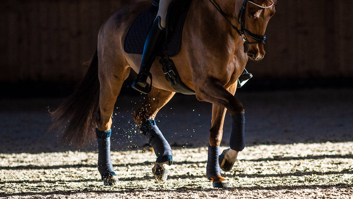 Winderen Leather Dressage Girth