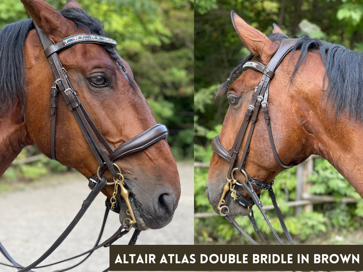 OLD STOCK Altair Atlas Double Bridle