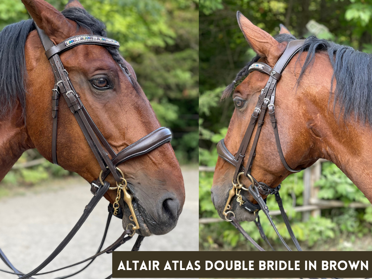 Altair Atlas Double Bridle