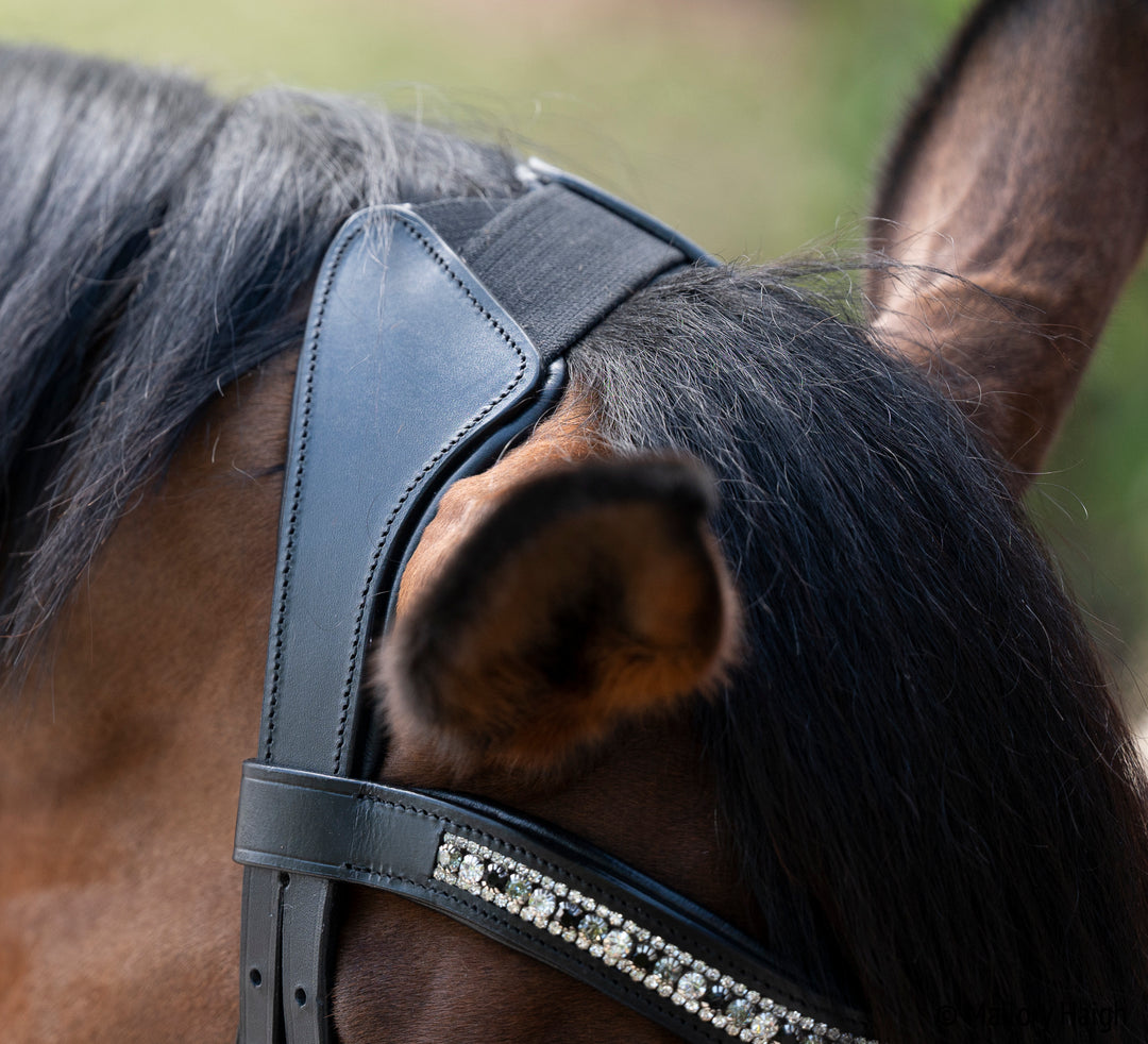 OLD STOCK Altair Atlas Double Bridle