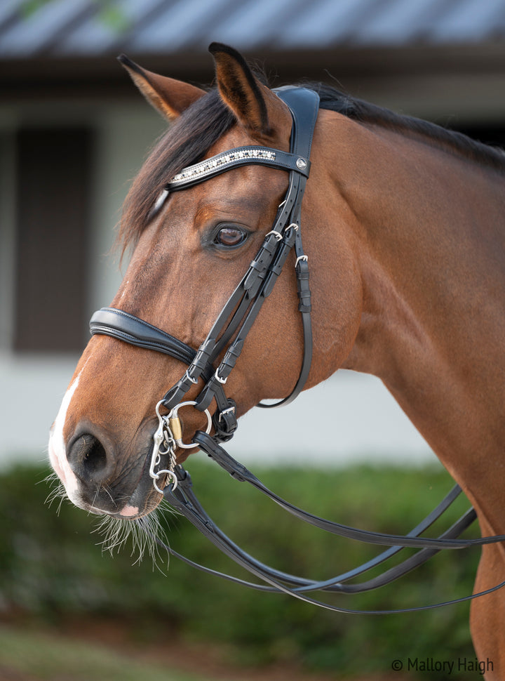 OLD STOCK Altair Atlas Double Bridle