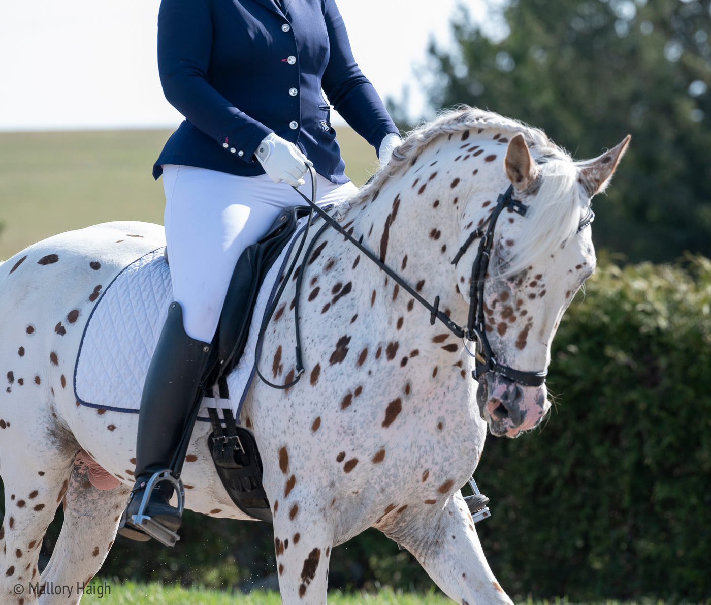 Aquila Full Grip Hybrid Breech - White with Navy Seat